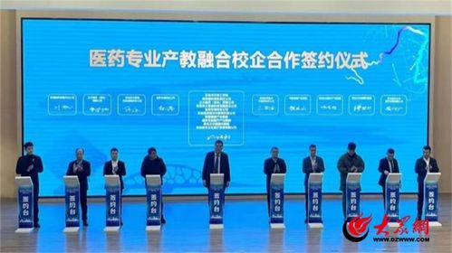 专业京牌代办团队工作场景